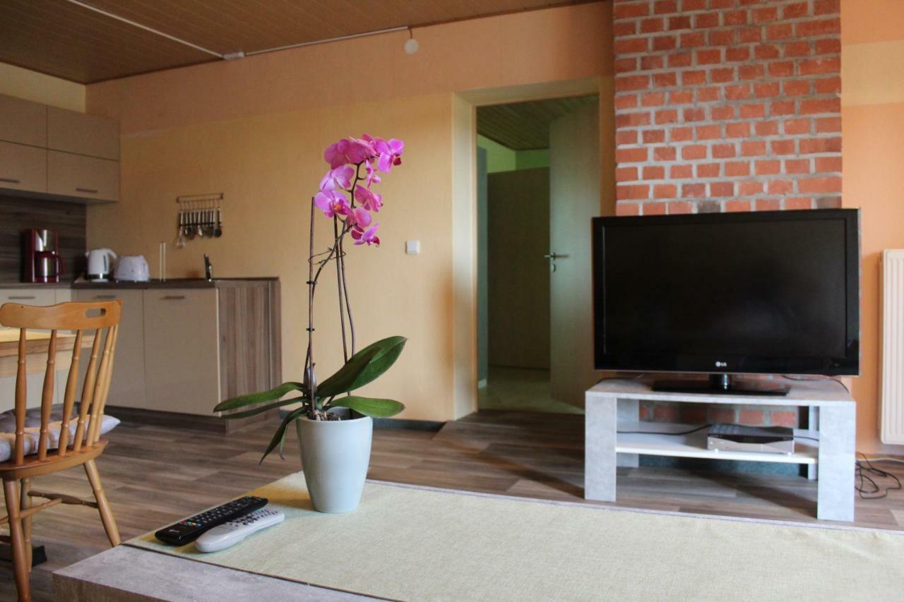 Ferienwohnung Im Gruenen Diesbar-Seusslitz エクステリア 写真